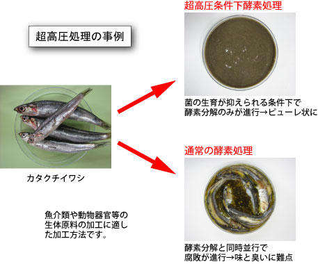 超高圧抽出のメリット